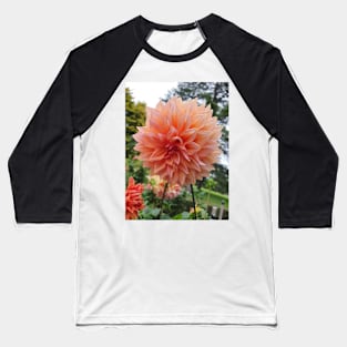 Pale Orange Dahlia Baseball T-Shirt